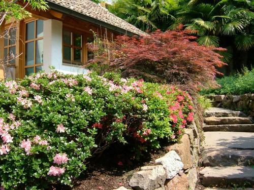 Apartamento Villa Sissi
