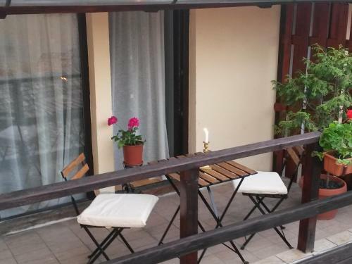 Hostal Casa Veche