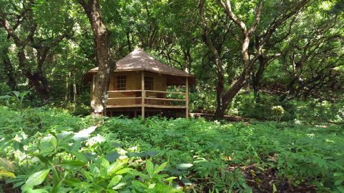 Hotel Los Mangos
