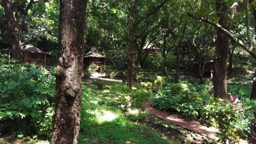 Hotel Los Mangos
