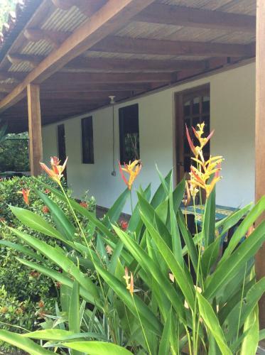 Hotel Casa Cigalou Tamarindo