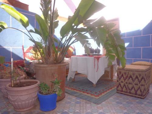 Posada Les Tajines Bleus