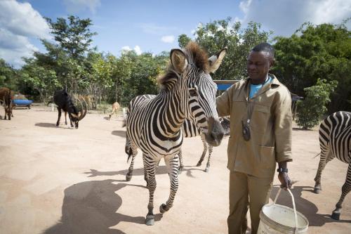 Mokorro Game Ranch And Lodge