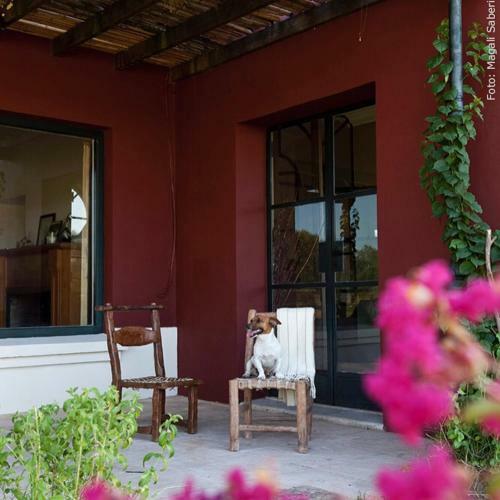 Bed & Breakfast El Ombu