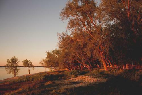 Posada Los Arboles