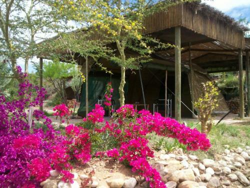 Amber Lagoon Backpackers Lodge