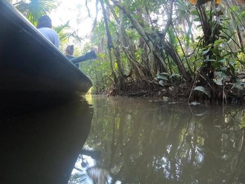 Ecolucerna Lodge Tambopata