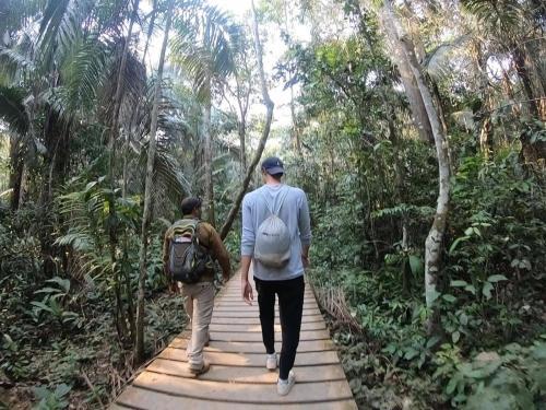 Ecolucerna Lodge Tambopata