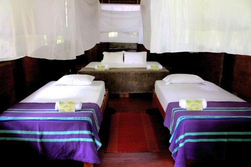 Ecolucerna Lodge Tambopata