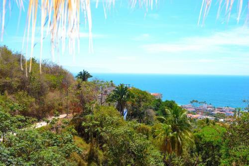 Apartamento Condo Selva Alta