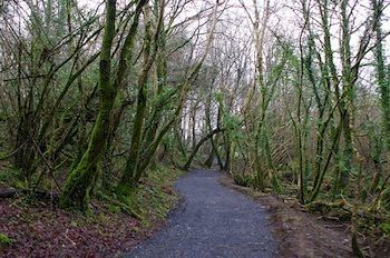 Breaffy Woods Hotel