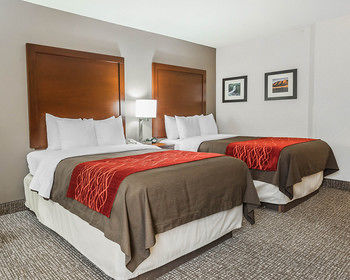 Hotel Comfort Inn Denver East