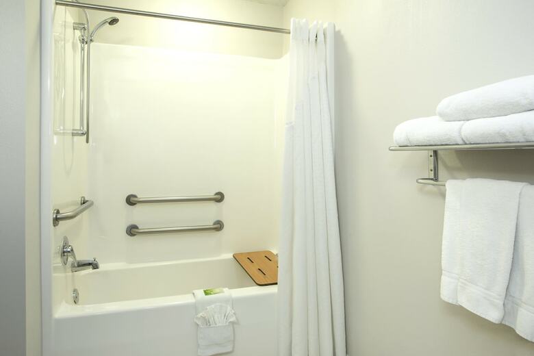 Holiday Inn Express Hotel & Suites Kalamazoo