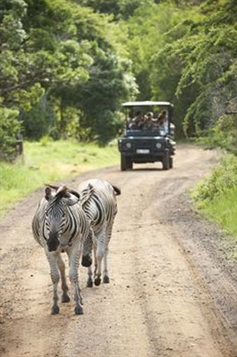Hotel Ubizane Wildlife Reserve