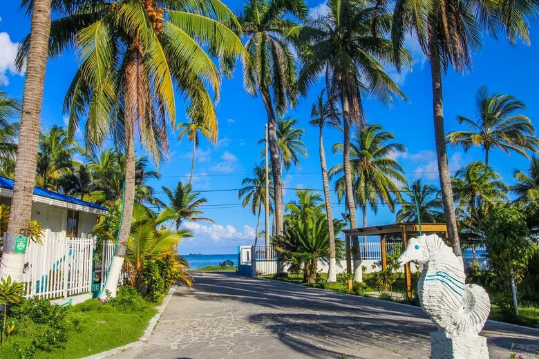 Hotel On Vacation Sea Horse