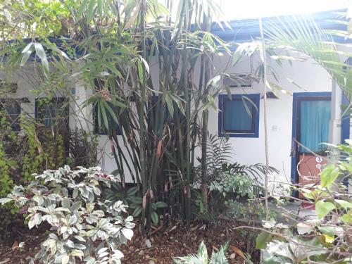 Hostal Royal Villa