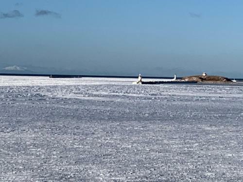 Hostal Guesthouse Tomaya