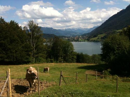 Apartamento Ferienwohnung Wiesner Annemarie