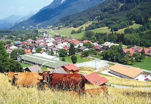 Apartamento Appartement Zian