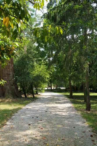 Bed & Breakfast Ch�teau De La Frogerie