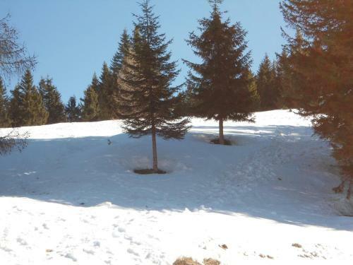 Apartamento Appartamenti Patrizia