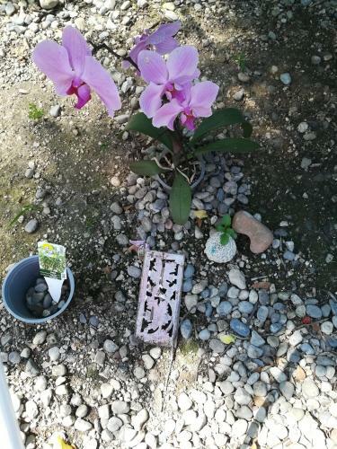 B&B Porte Rosse
