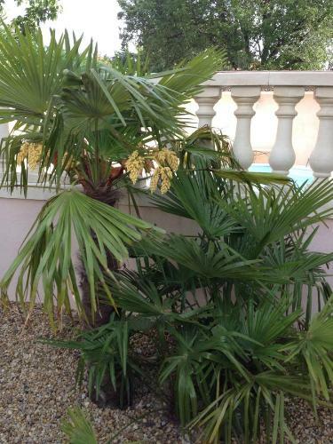 Bed & Breakfast Villa Clairelou