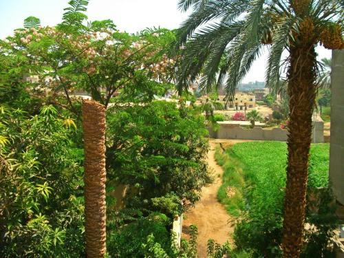 Farida Apartments