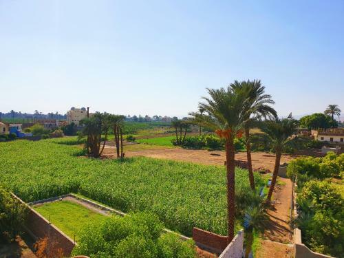 Farida Apartments