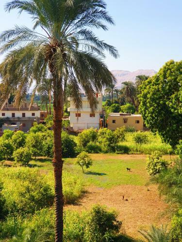 Farida Apartments