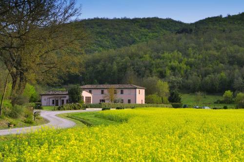 Agroturismo Agriturismo Il Corniolo