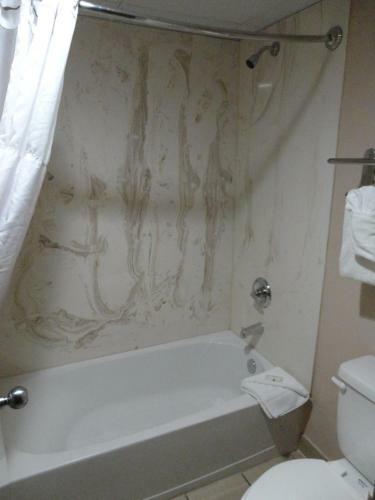 Hotel Quality Inn Pasadena