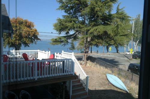 Magpie On Alki