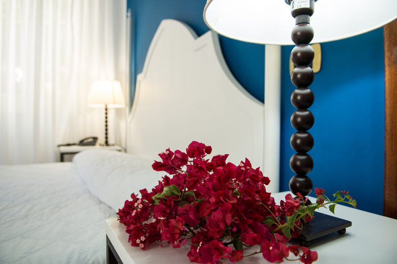 Hotel Villa Enrica