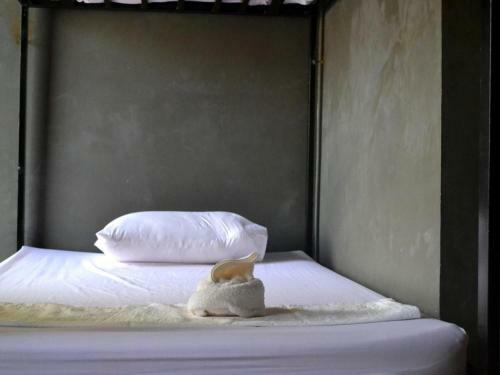 Albergue Birds Nest