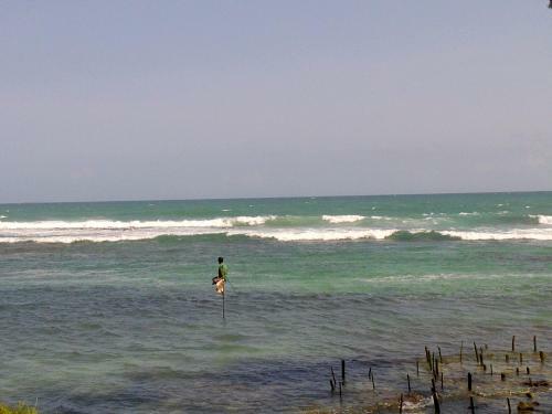 Hotel Turtle Eco Beach