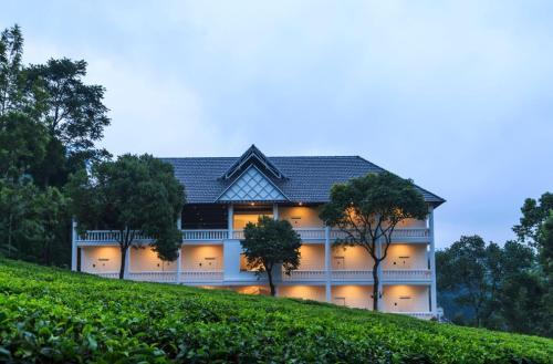 Hotel Tea Harvester