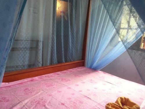 Posada Surf Mount Plant Inn Midigama