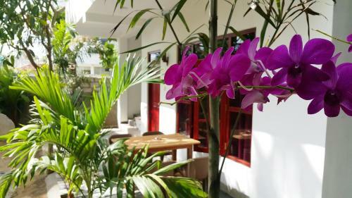 Hostal Splendid Lodge