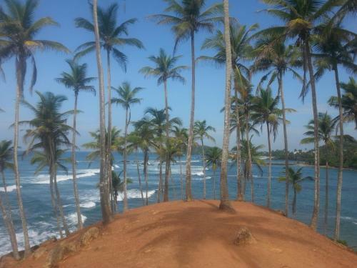 Hostal Sun Ocean Inn Mirissa