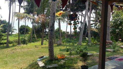 Hostal Sunray Rest - Beach View Homestay