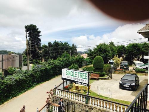 Single Tree Hotel