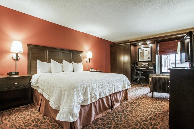 Hotel Hampton Inn San Antonio-downtown