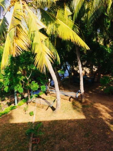 The Green View Yala