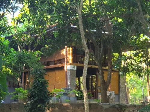 Jungle House