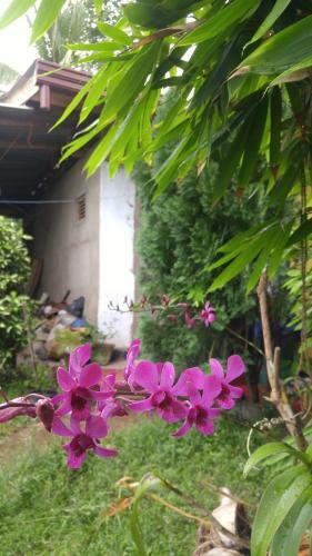 Ananda Home Stay And Restaurant