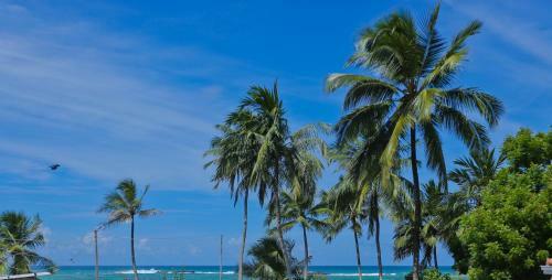 Hotel Wimals Resort