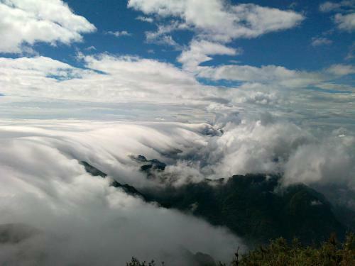 Tavan View