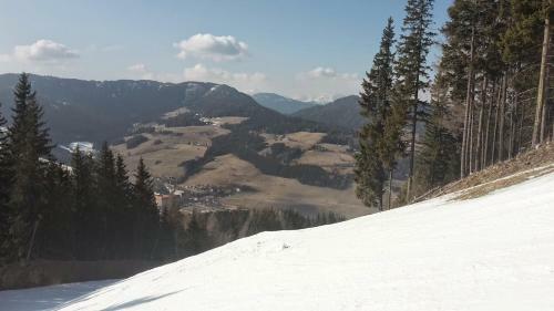 Metnitzer Haus