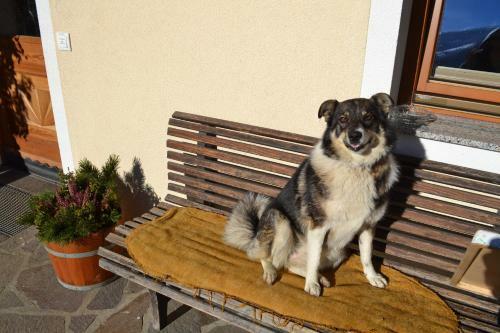 Apartamento Bohrerhof